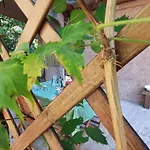 Bilocale Casa Manu Garden Finale Ligure