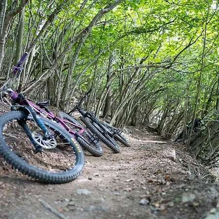 Apartment Bilocale Casa Manu Garden